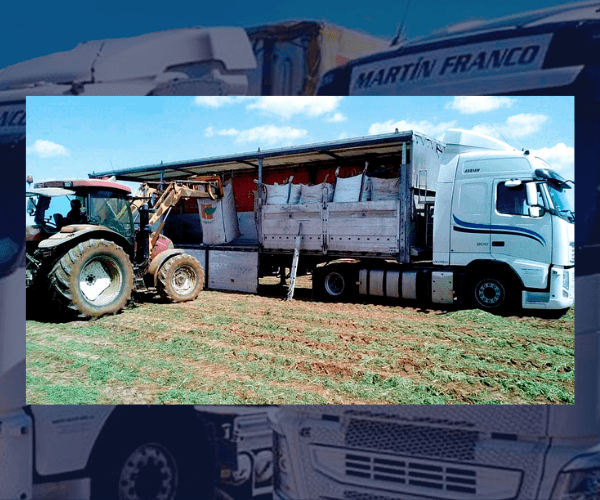 transporte paletizado