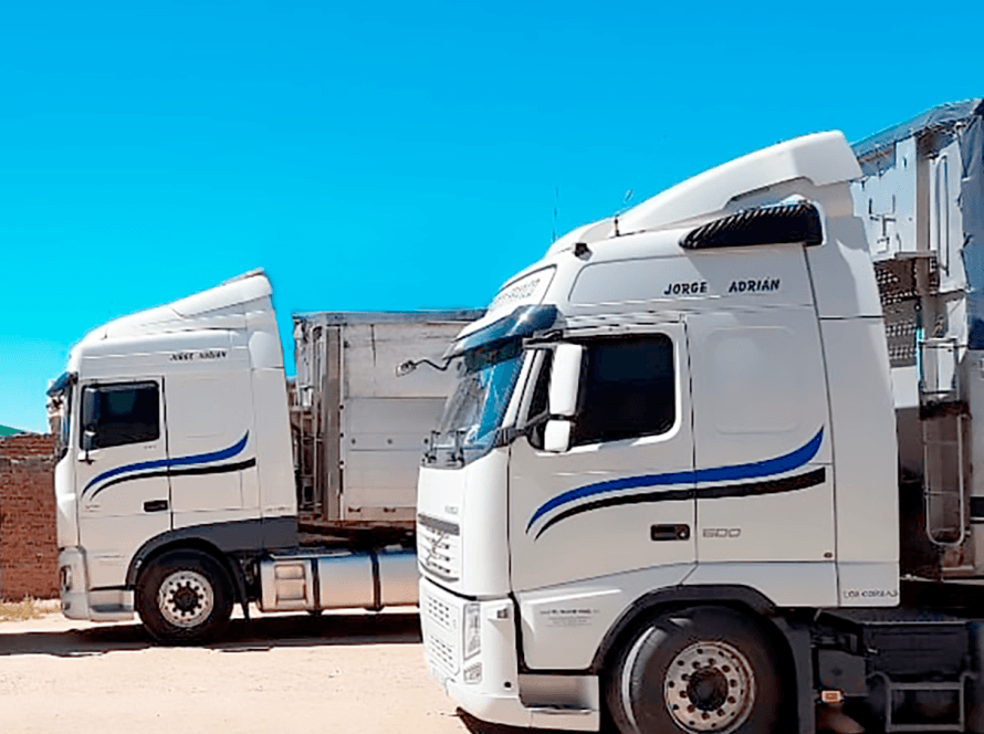 Camiones Martín Franco para transporte paletizado de mercancías