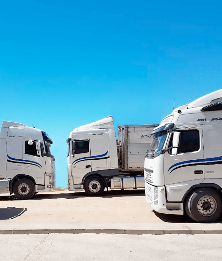 camiones martín Franco para transporte de mercancía terrestre