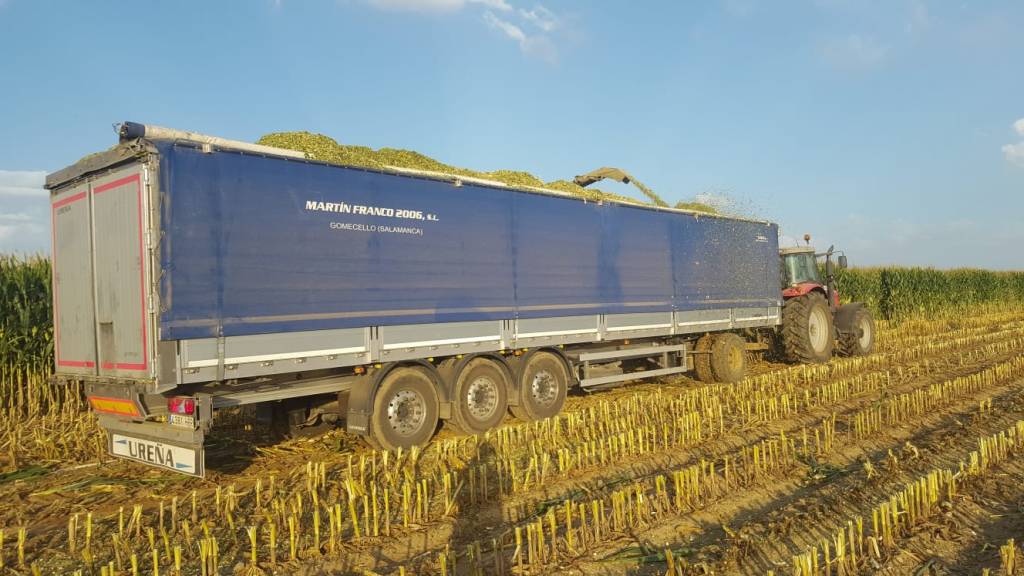 Transporte de mercancía a granel Martín Franco