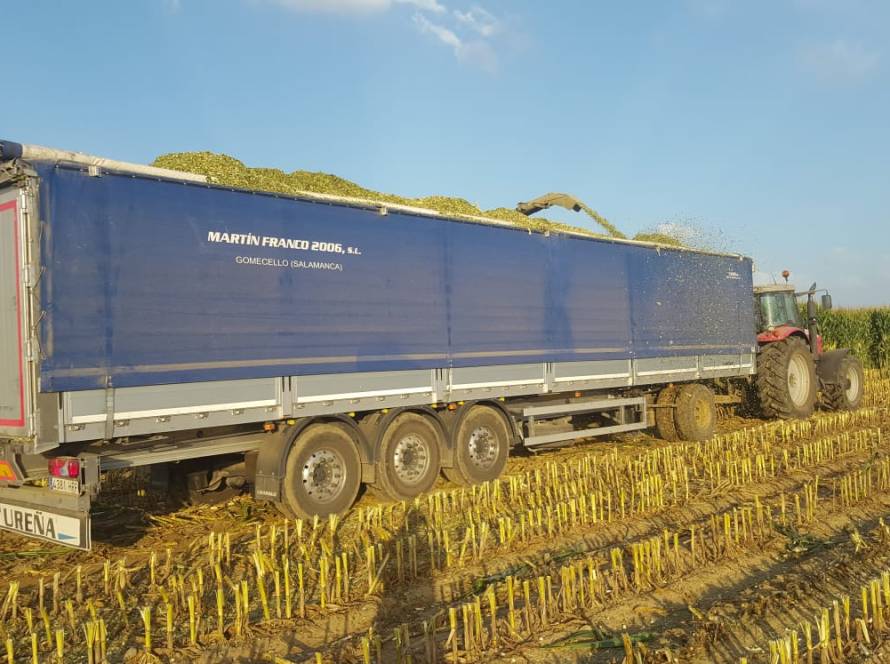Transporte de mercancía a granel Martín Franco
