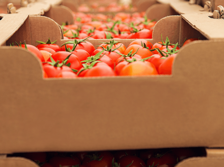 mercancía perecedera: tomates